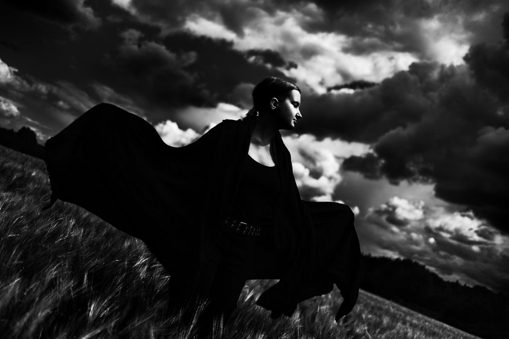 Чёрный лебедь.