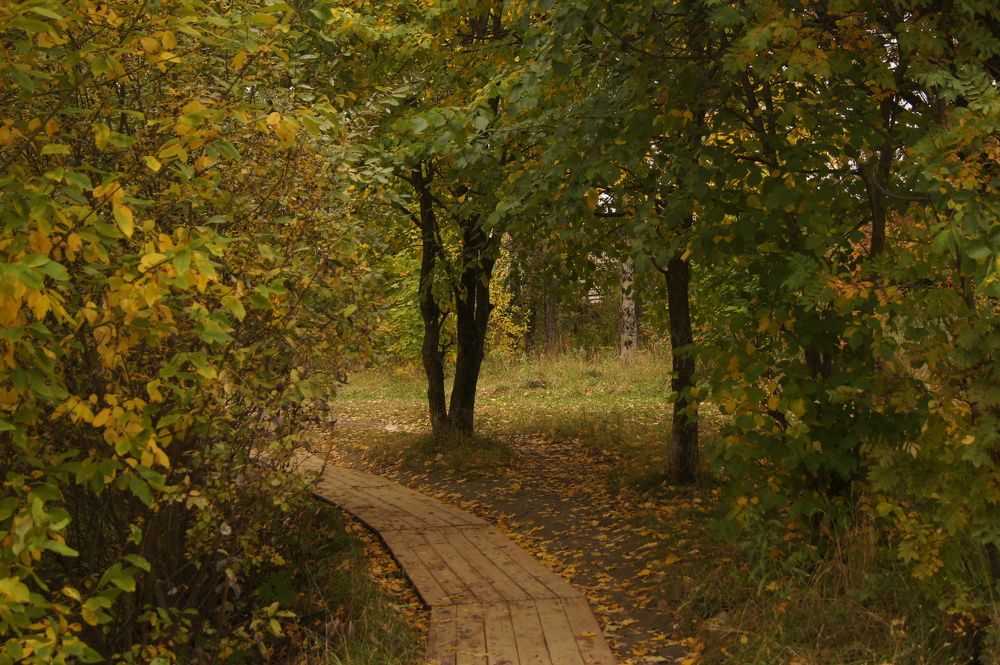 Photograph by Егор Ивачёв