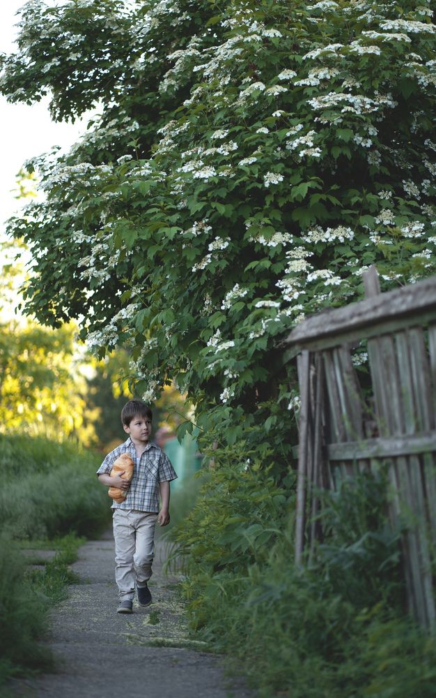 Фотография автора Мария Лютикова