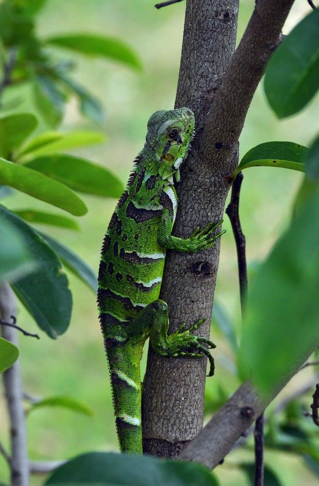 Photograph by Andre Nunes