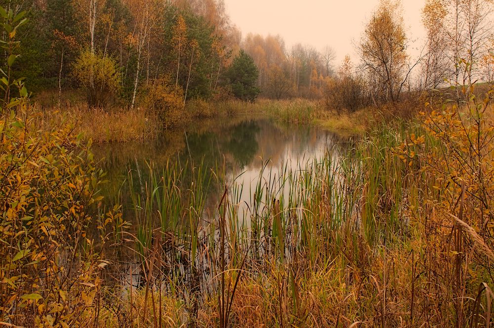 Photograph by Олег Тыркин