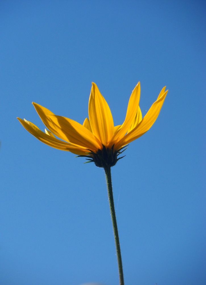 Photograph by Маша Худякова