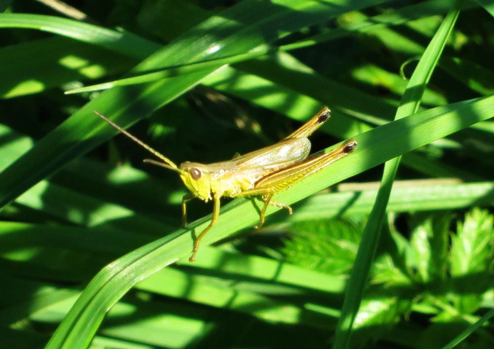 Photograph by Ирина Синягина