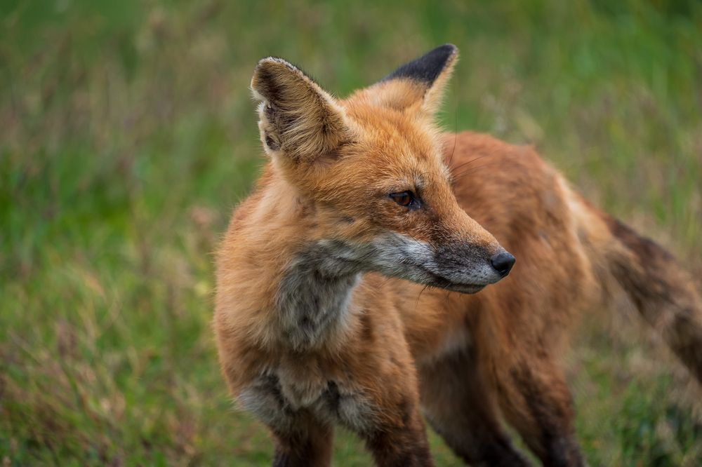 Photograph by Greg Noakes