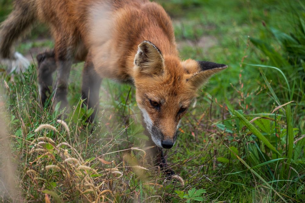 Photograph by Greg Noakes