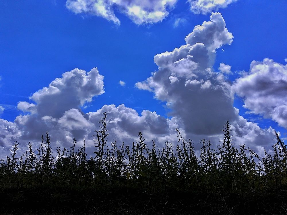Sreanger Blue Sky