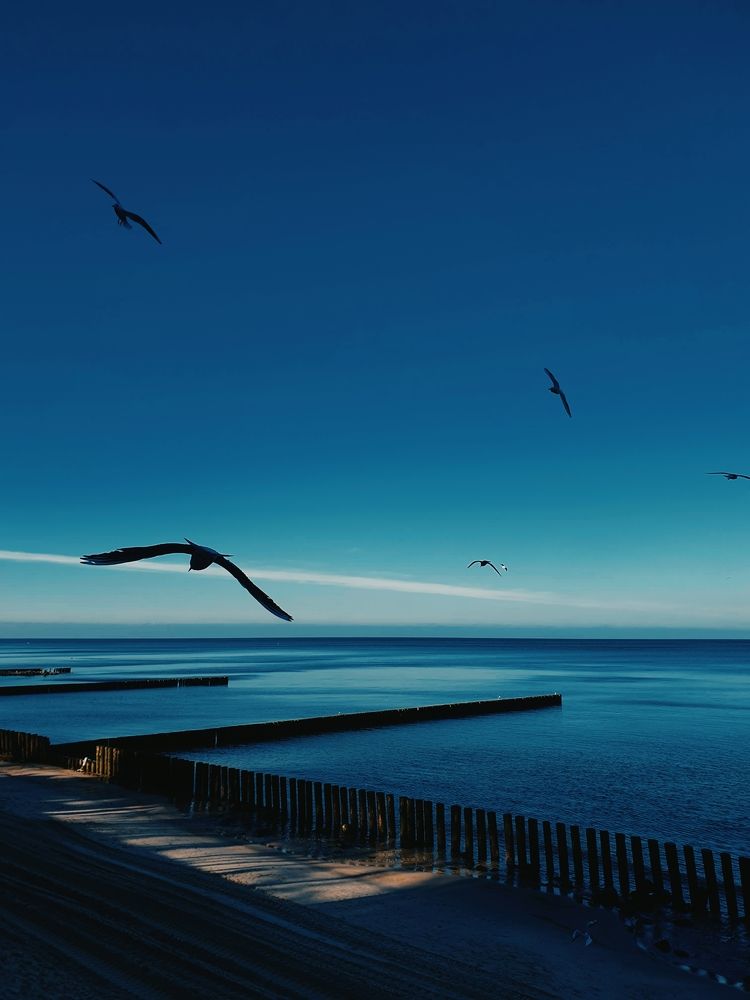 Photograph by JuliyaK