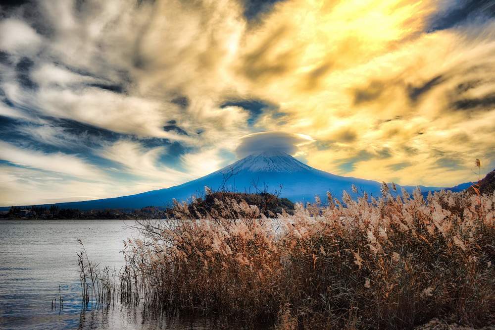 Фотография автора Sen Abhijit