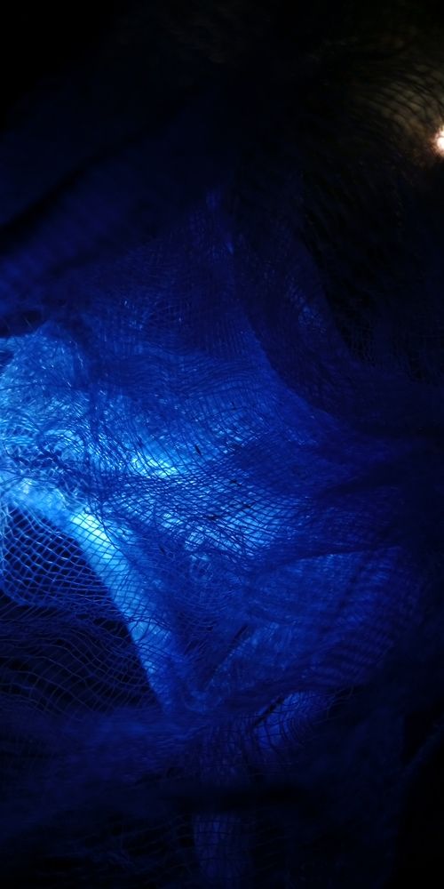 Фотография автора Abir Duley