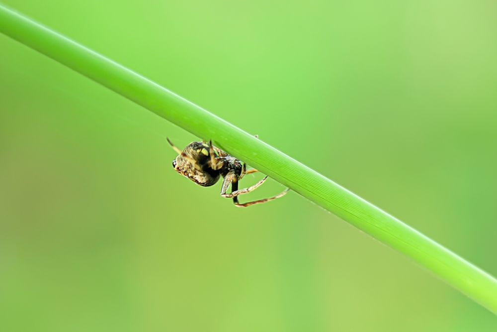 Photograph by Chamod Champika