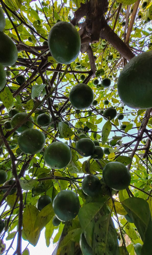 Photograph by Vanesa Silva