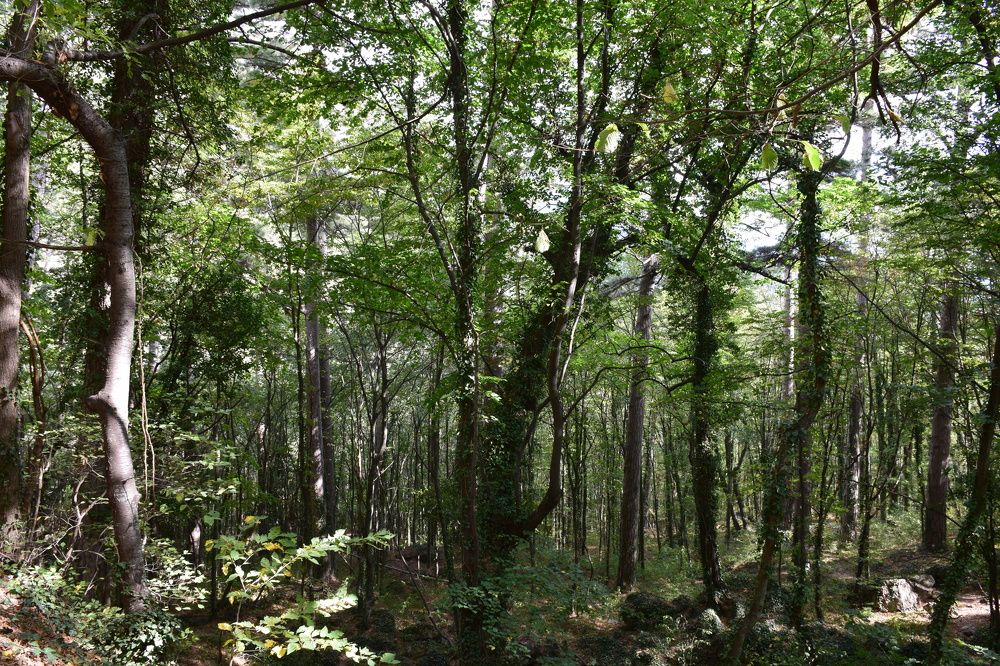 Photograph by Анжелика Лаврентьева