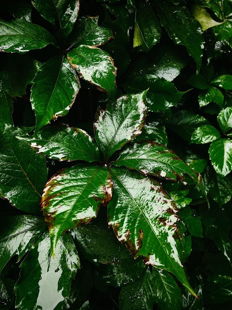 Photograph by Дмитрий Батейкин