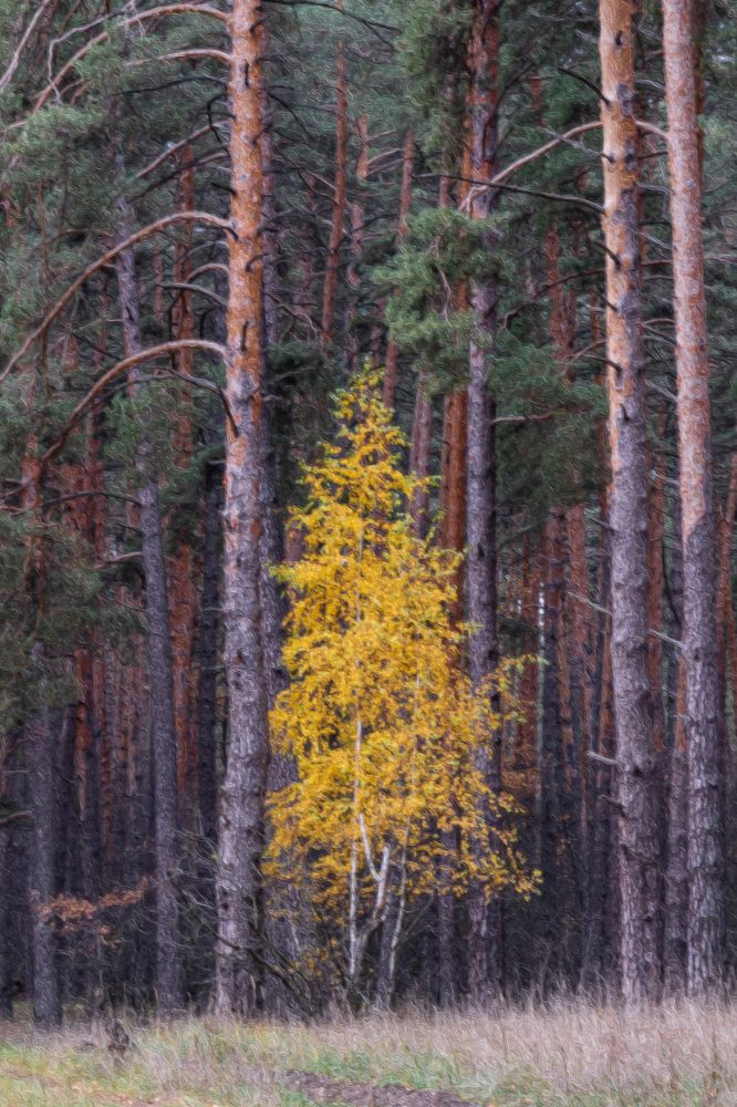 Photograph by Александр Щербаков