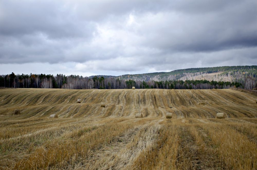 Photograph by Эльвира Быкова