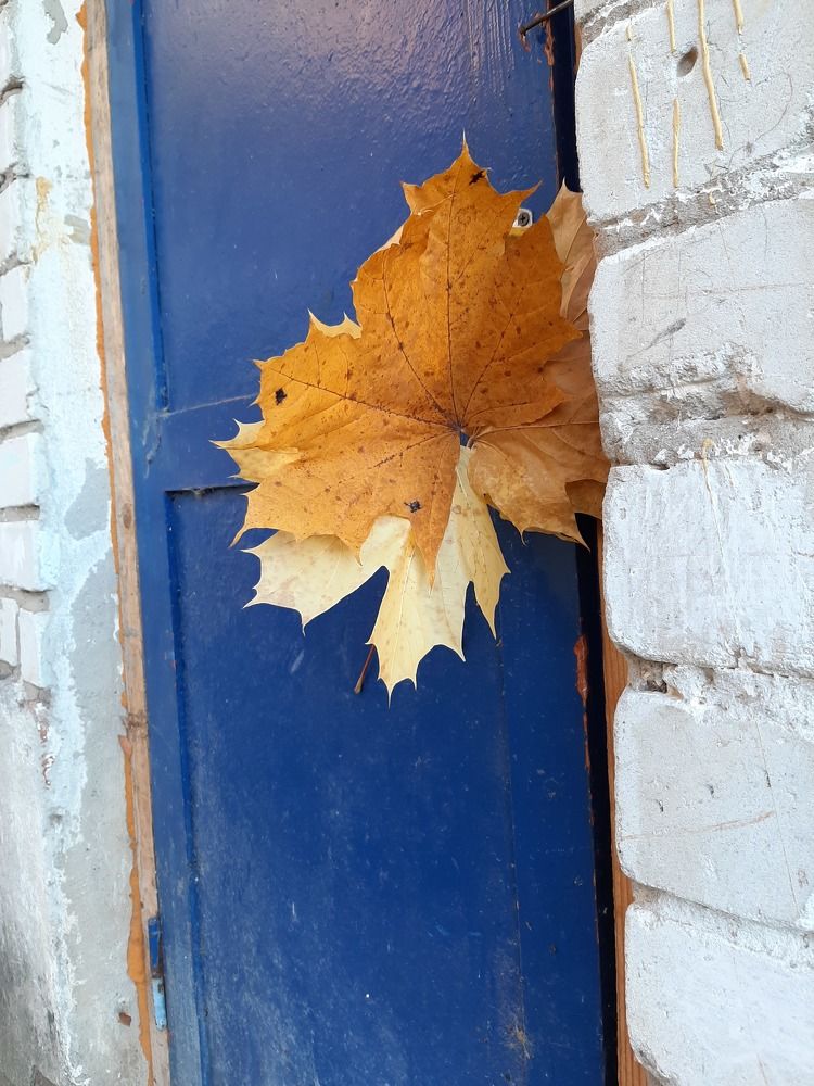 Photograph by Марина Слепова