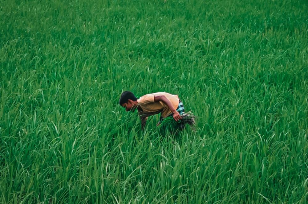 Photograph by Rk Hridoy