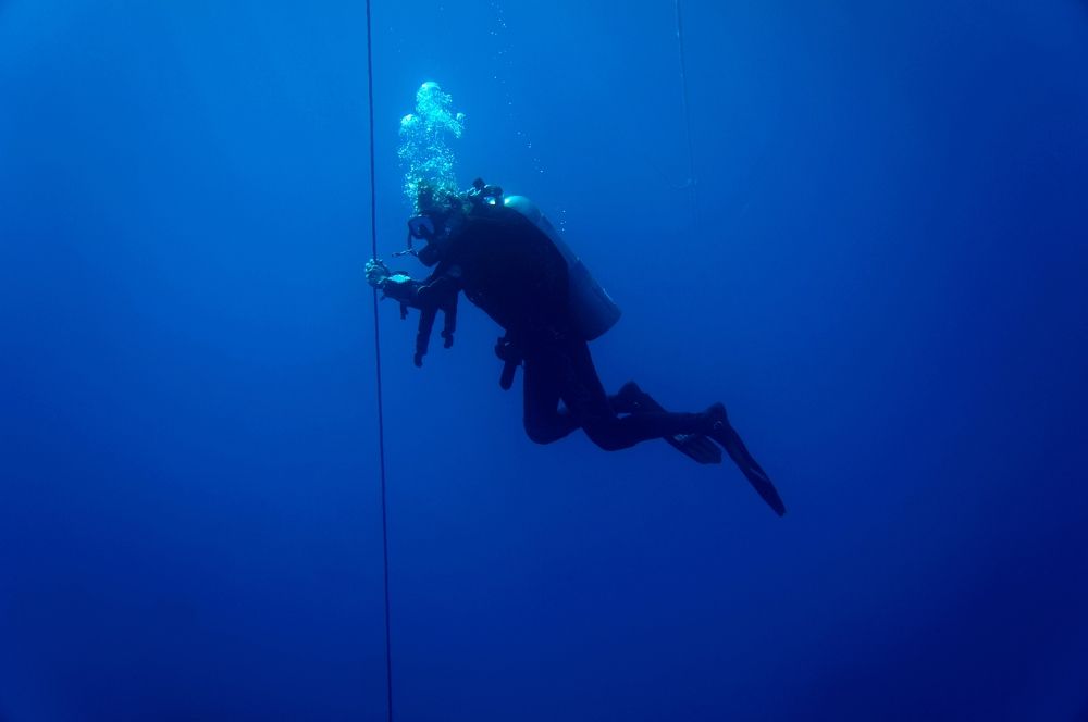 Photograph by Максим Роганов