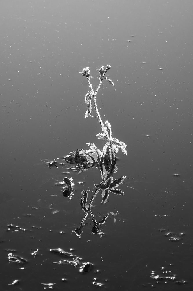 Отражение…