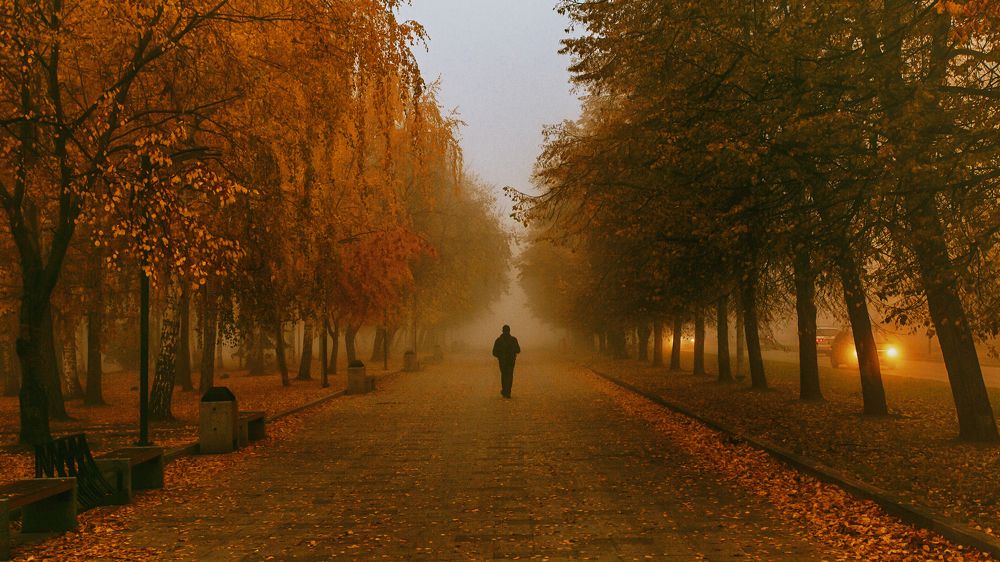 Утро туманное!