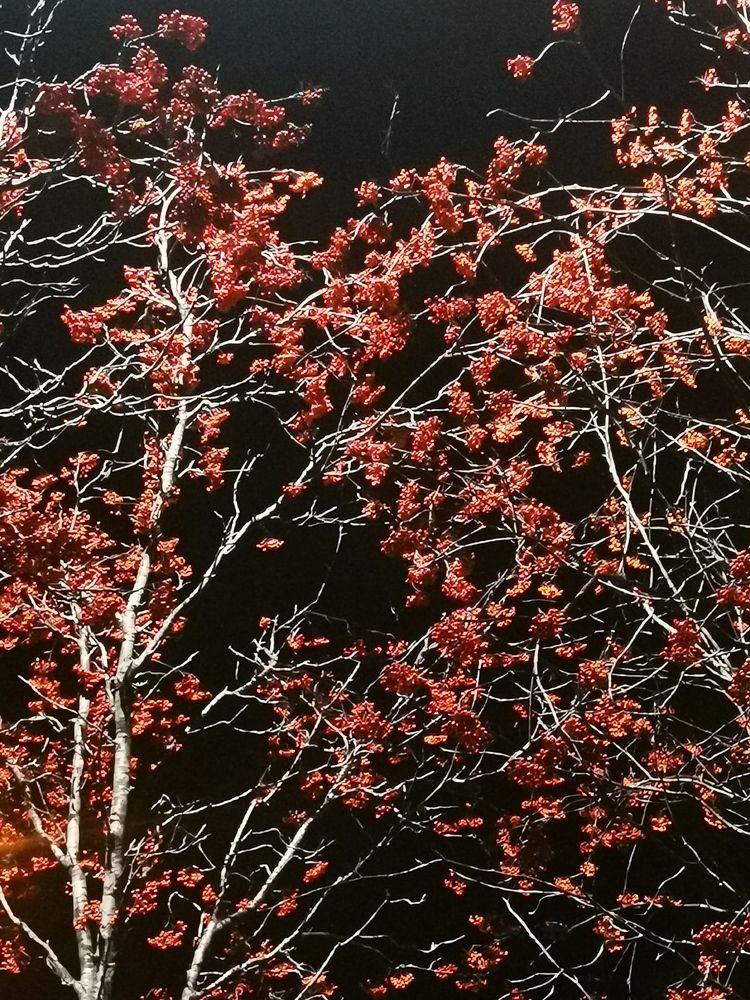 Фотография автора Логвинович Андрей