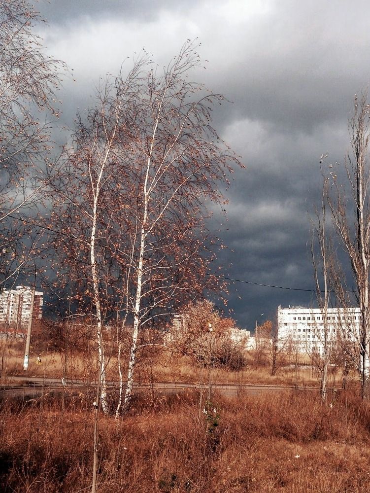 Photograph by Ирина Ерохина