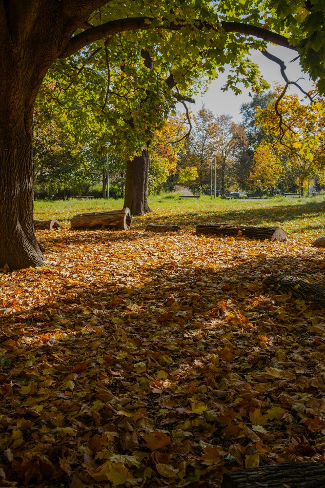 Photograph by Александр Васин