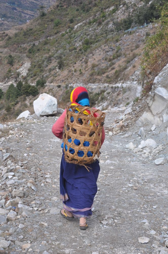 Photograph by SHARMA SANDEEP KUMAR SHARMA