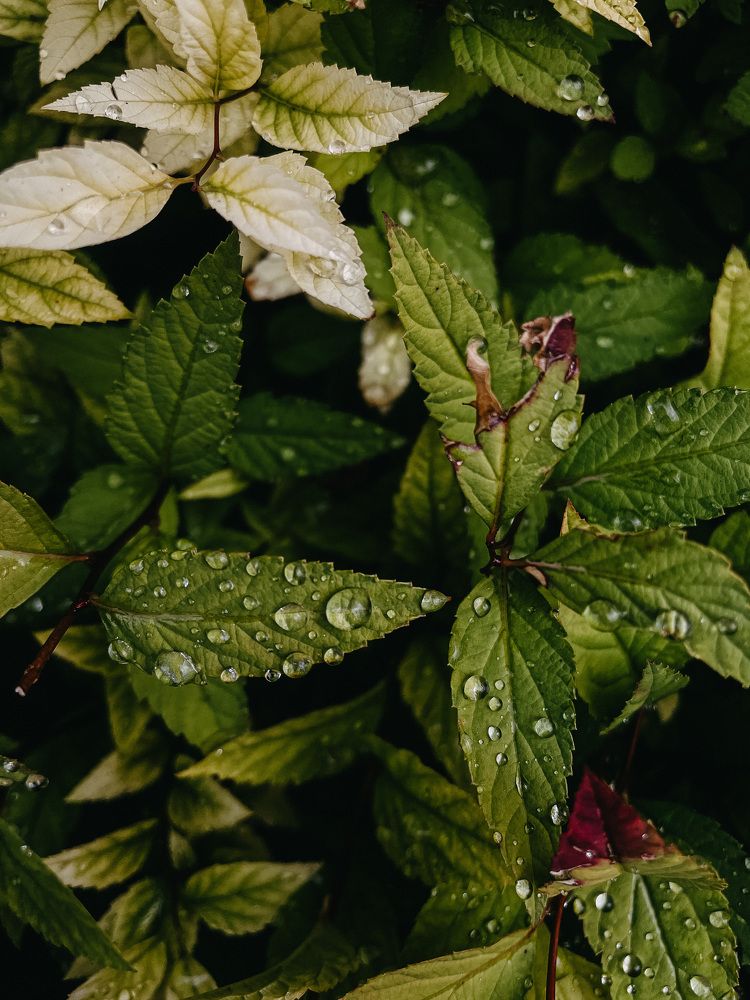 Фотография автора Oxana Yurasova