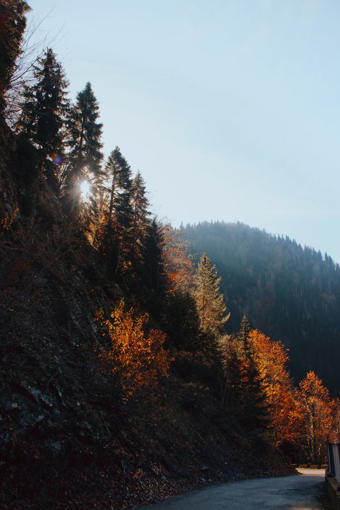 Фотография автора Oxana Yurasova