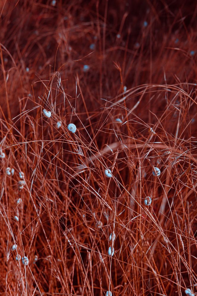 Фотография автора Oxana Yurasova