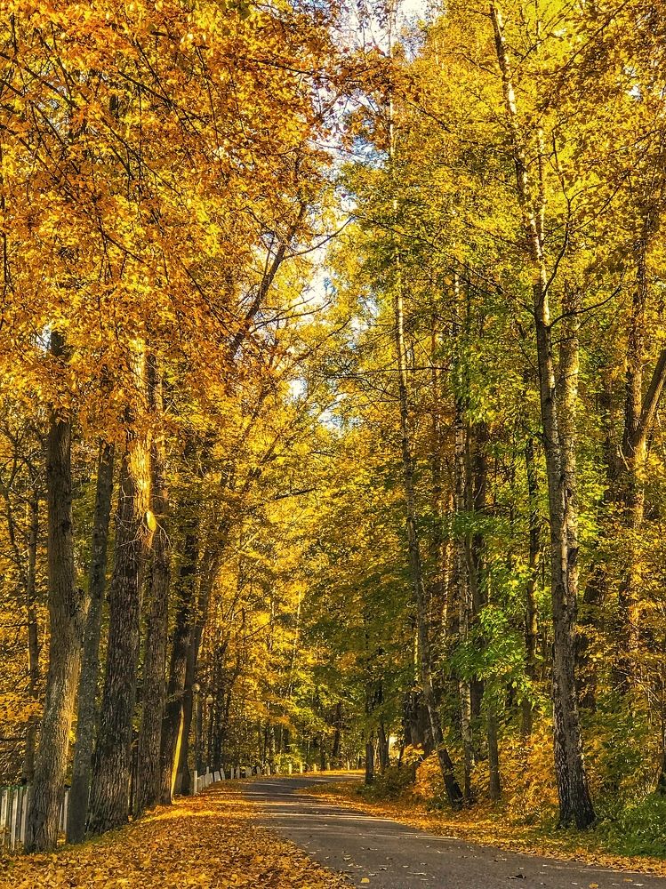 Photograph by Армен Егиян