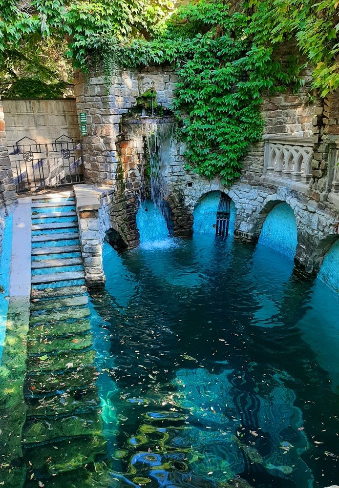 Photograph by Natalya Vasilenko