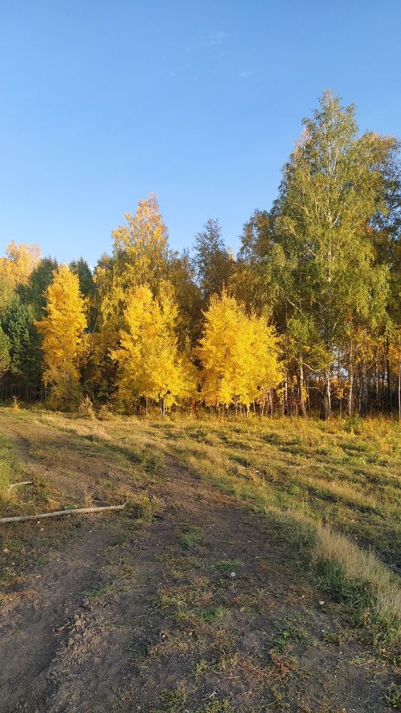 Ранняя осень