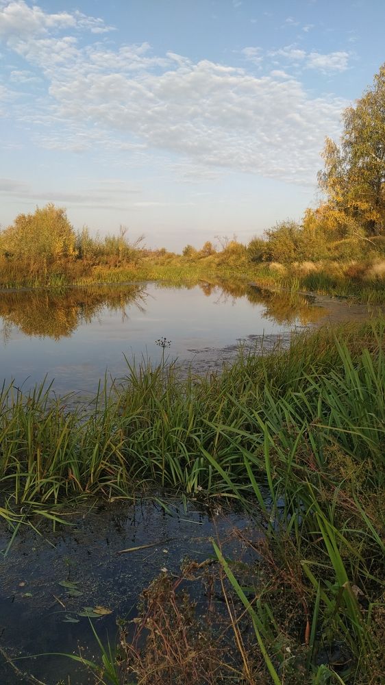 Осень над Ошей