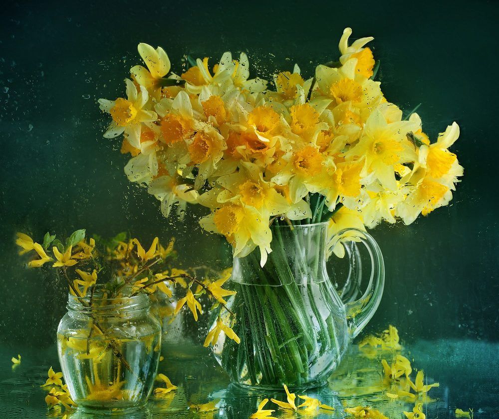 Photograph by Марина Володько