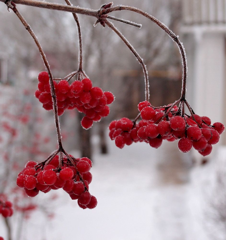 Photograph by Александр Карпенко