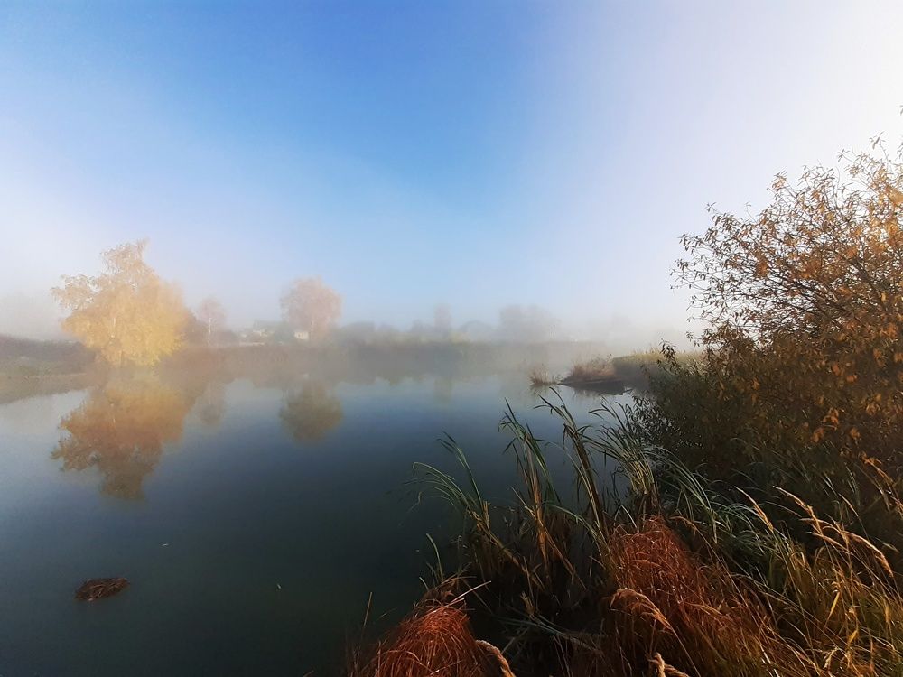 Photograph by Татьяна