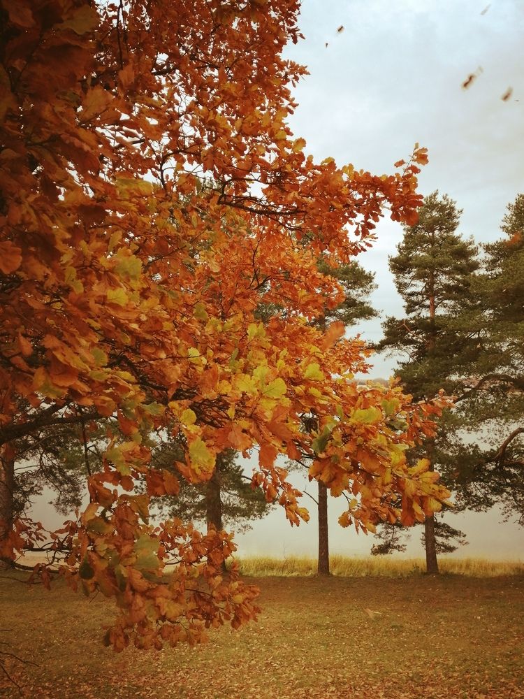 Photograph by Галина Смирнова