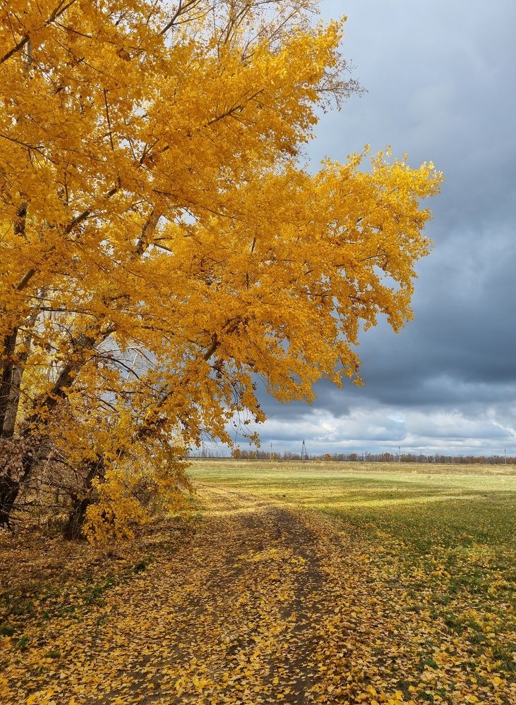 Photograph by Наталья Анисимова