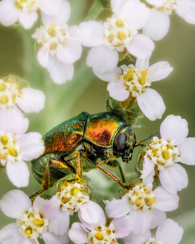 Фотография автора Владимир Зубков