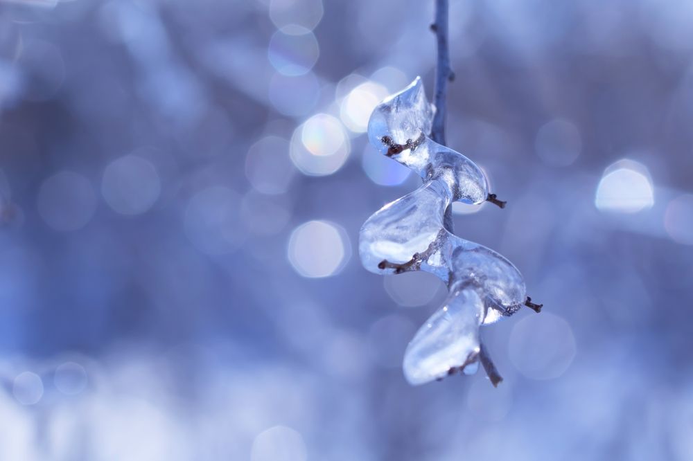 Photograph by Елена Носова