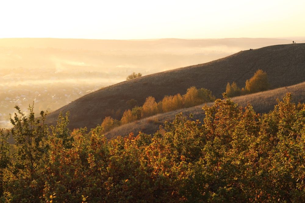 Photograph by Елена Носова