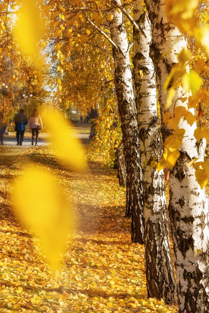 Фотография автора Владимир Зубков