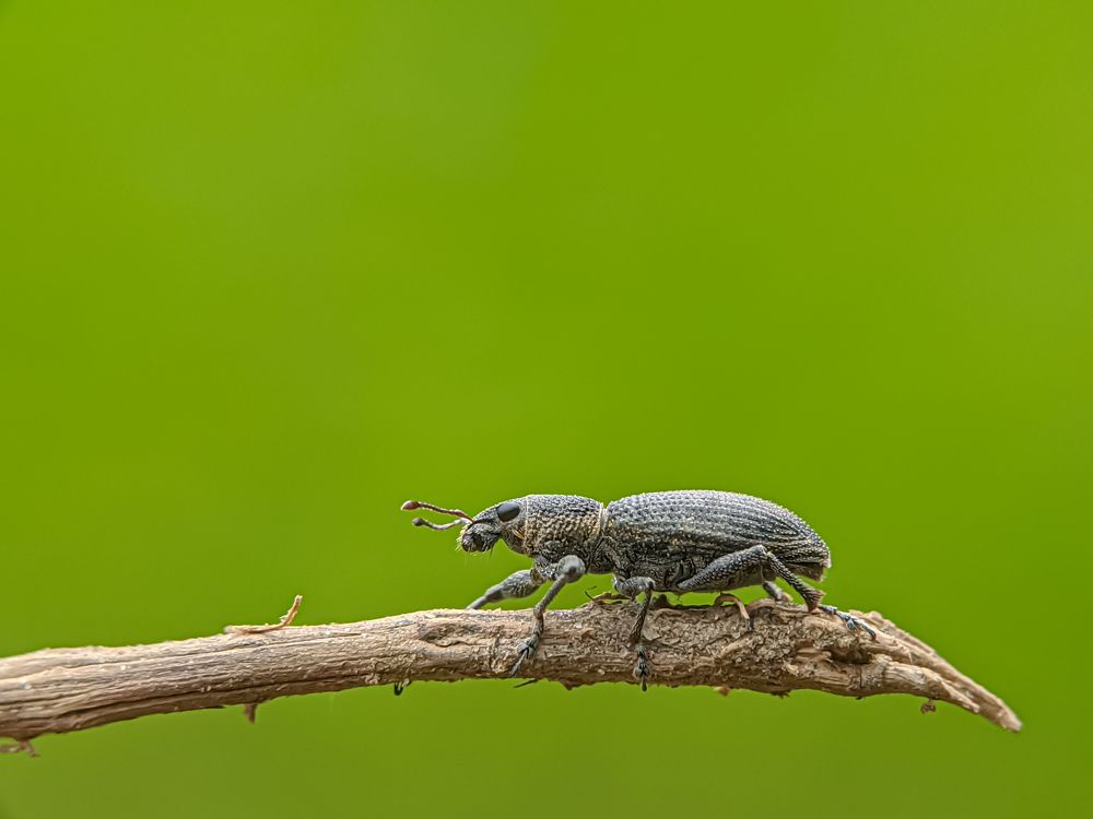 Photograph by Md Raihan