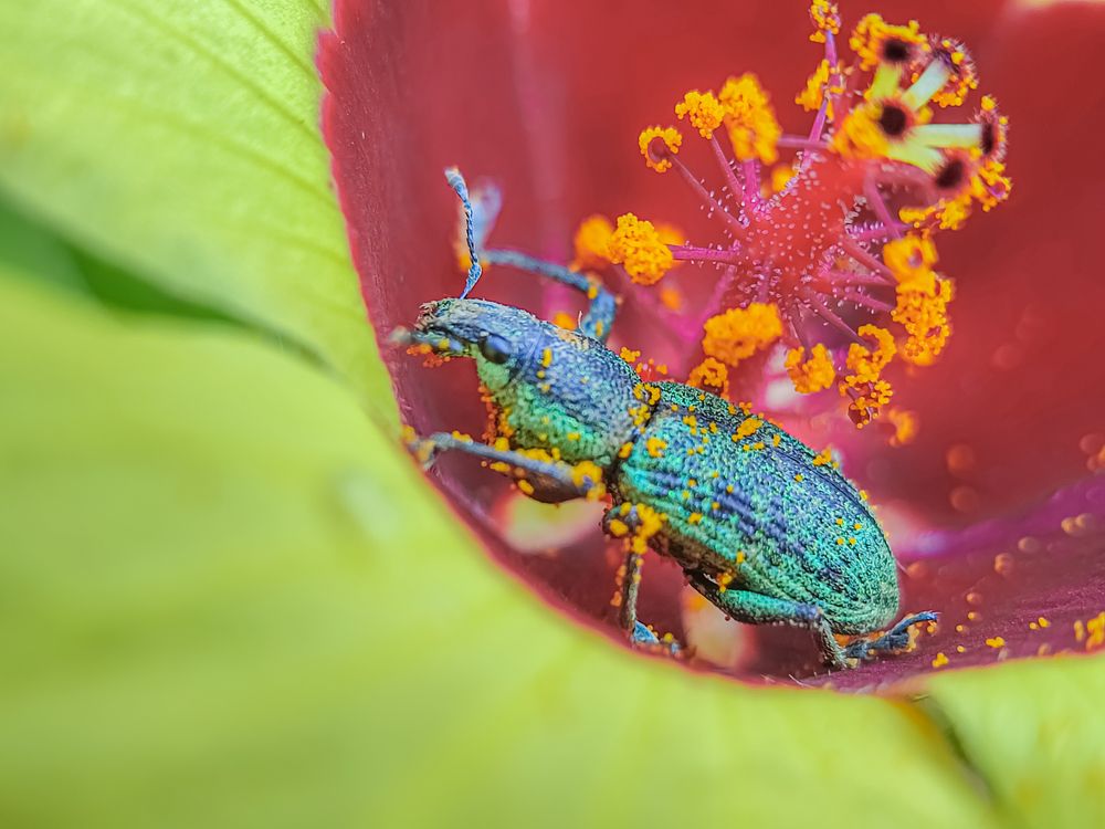 Photograph by Md Raihan