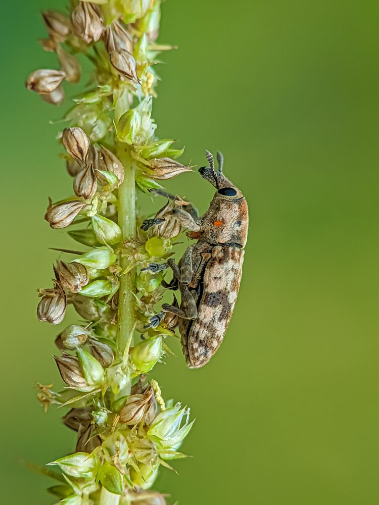 Photograph by Md Raihan