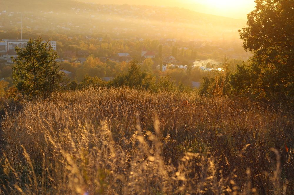 Photograph by Елена Носова