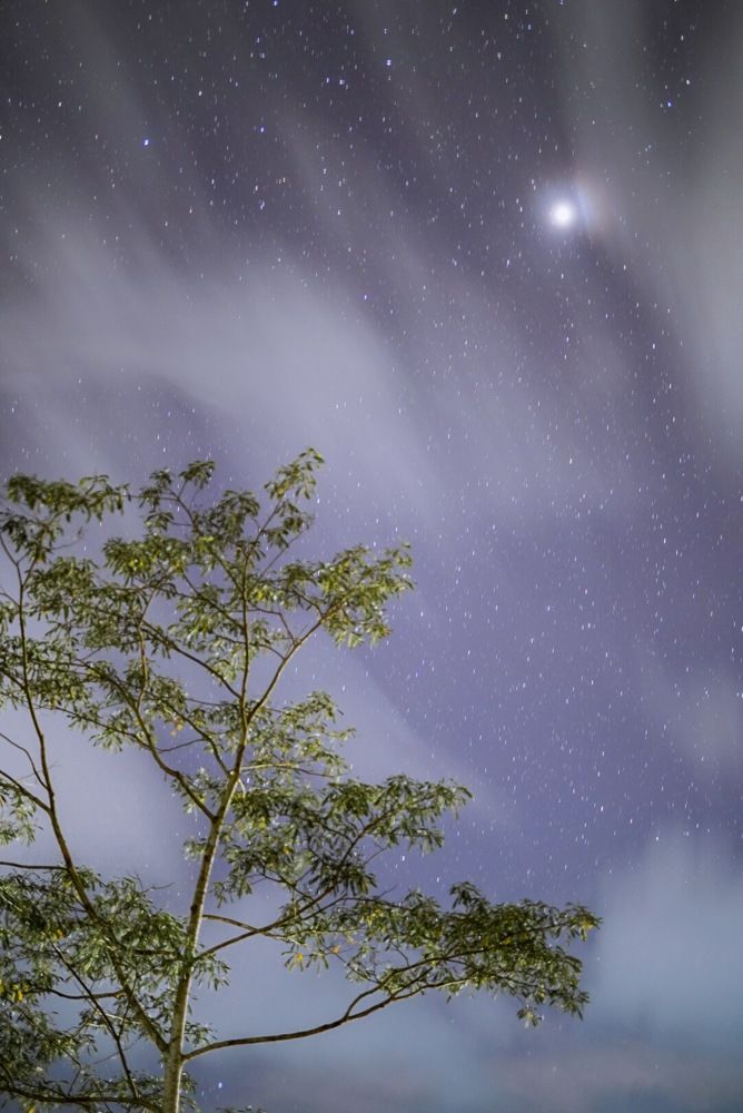 Photograph by Tharindu k