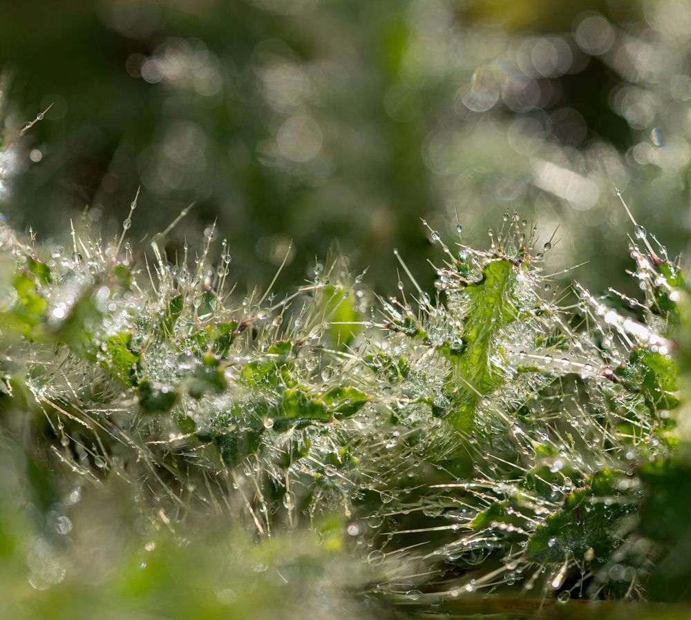 Photograph by Юрий Чернов